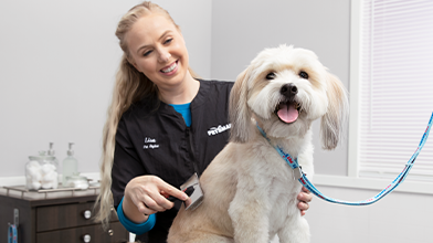 SERV-957585-GRM-Dog-Bath-Brush.png