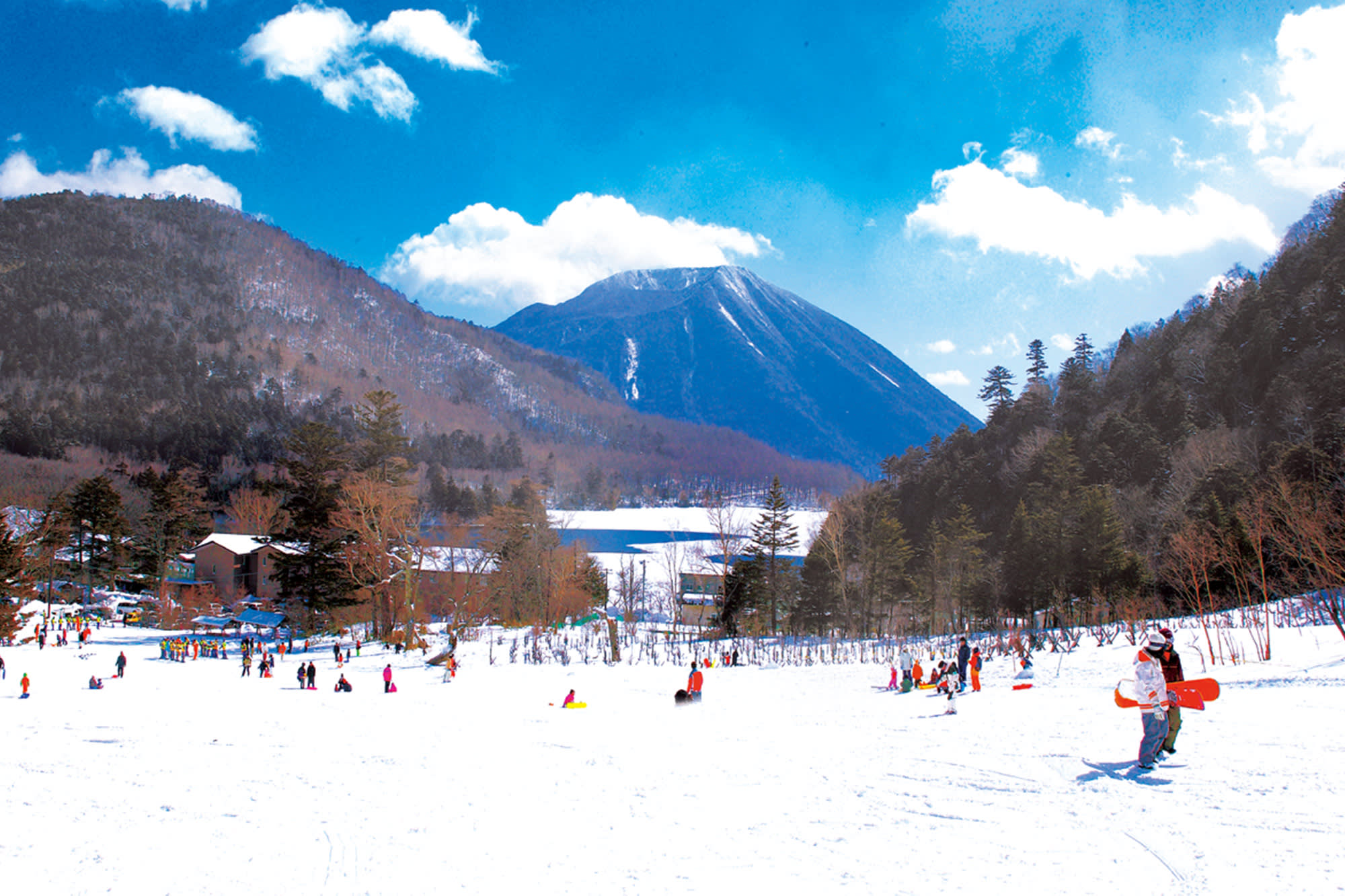 nikko