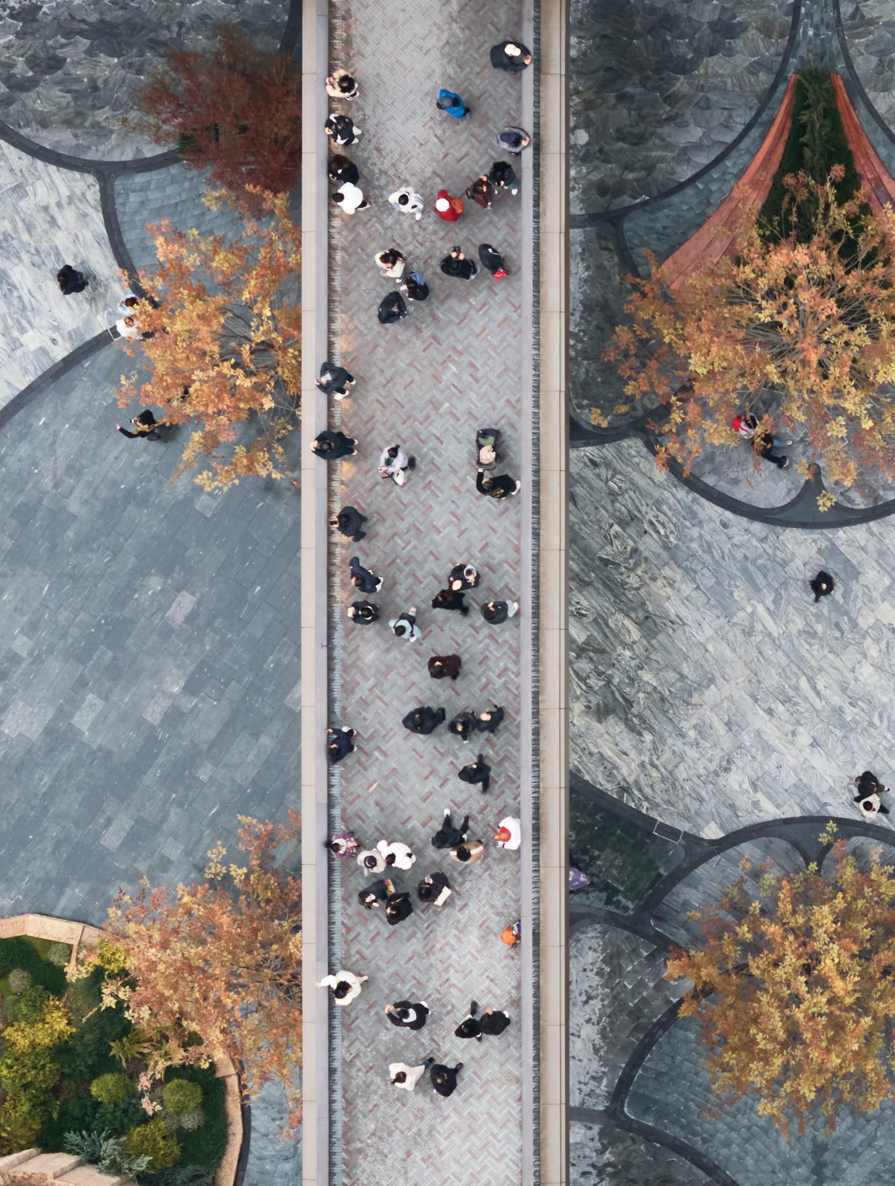 cong2-walls-of-public-cover-image