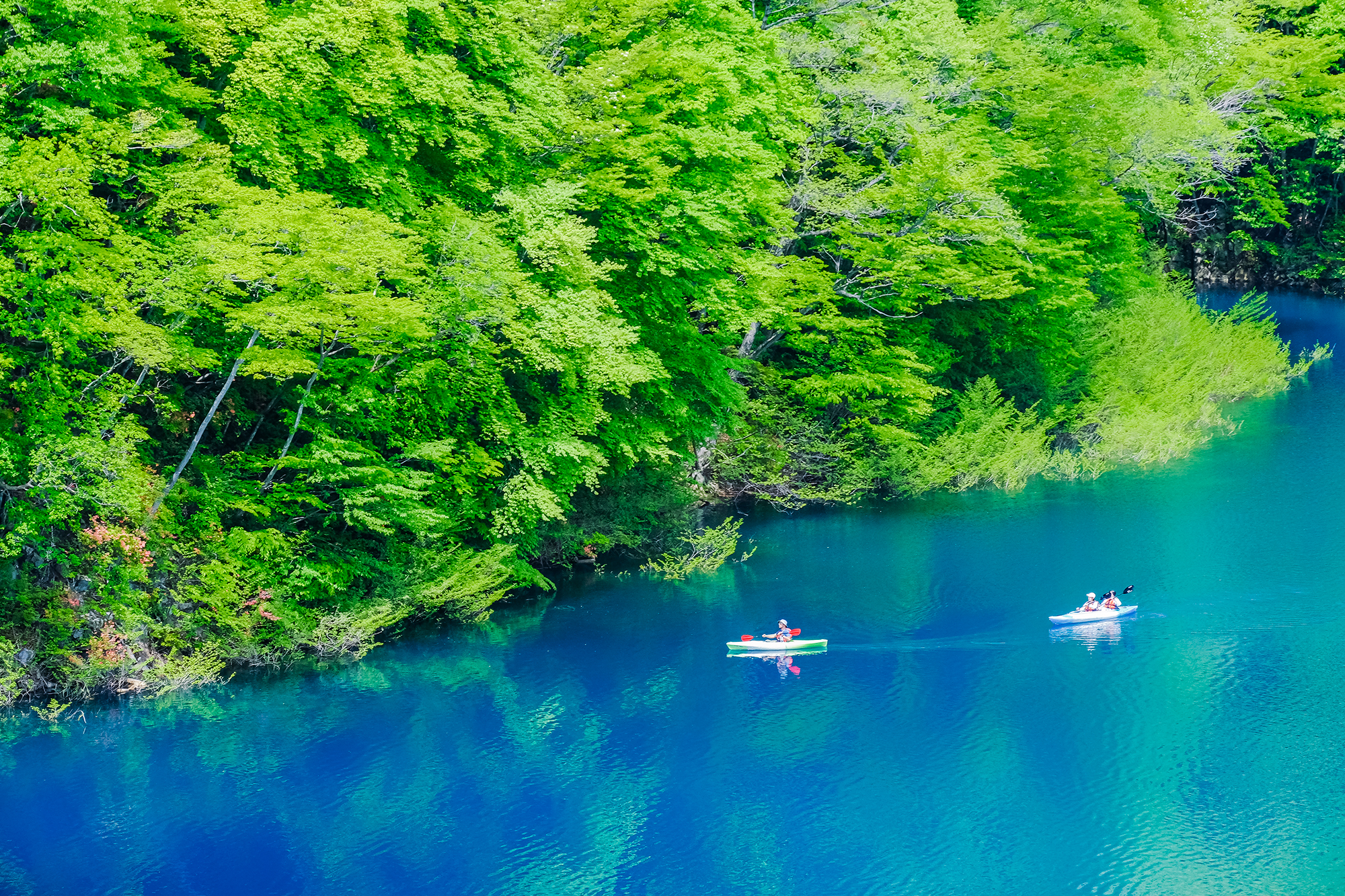 การพายเรือแคนู (ชิมะ)