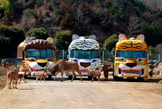 Gunma Safari Park