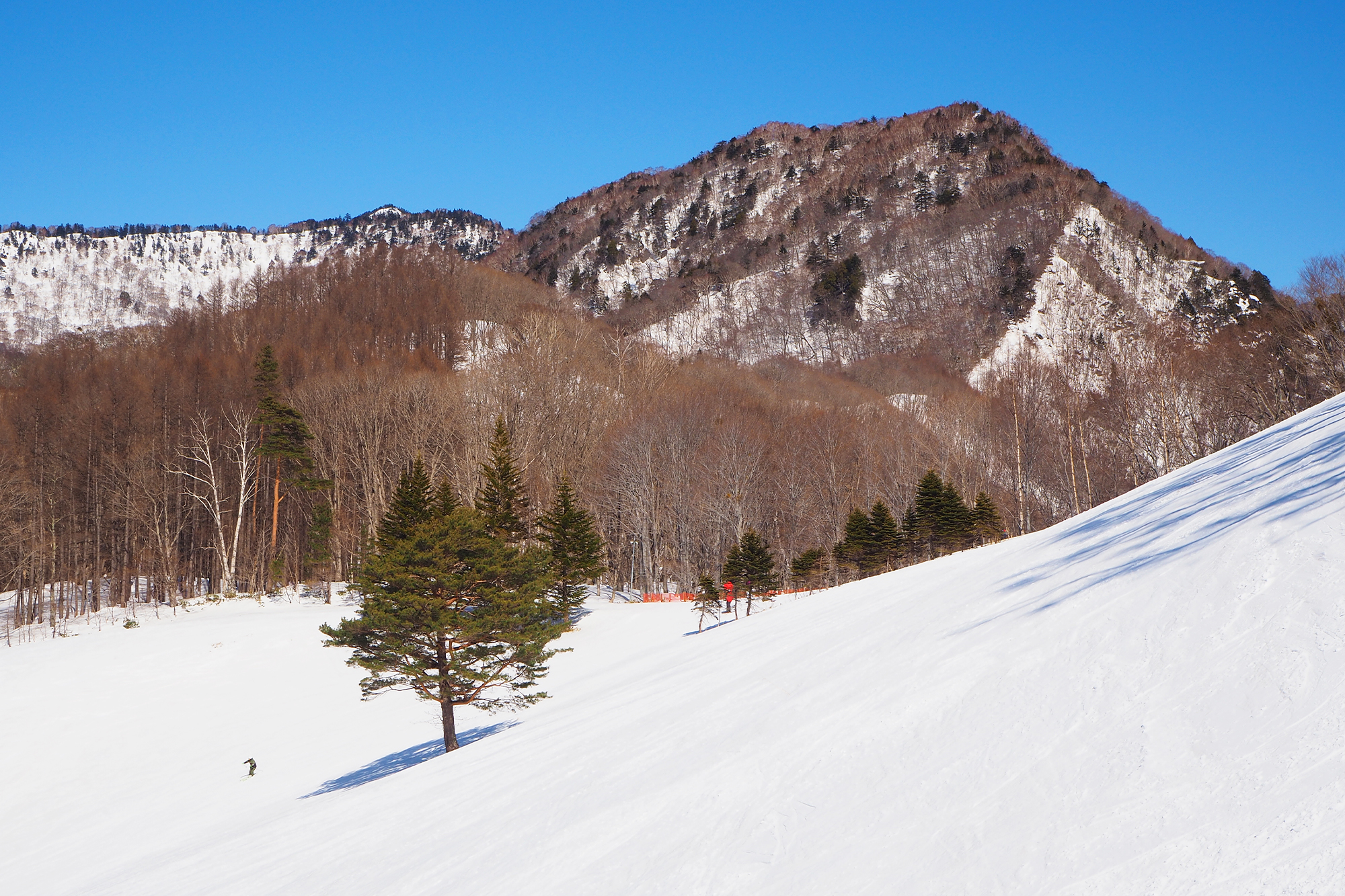 Snow Park Oze Tokura