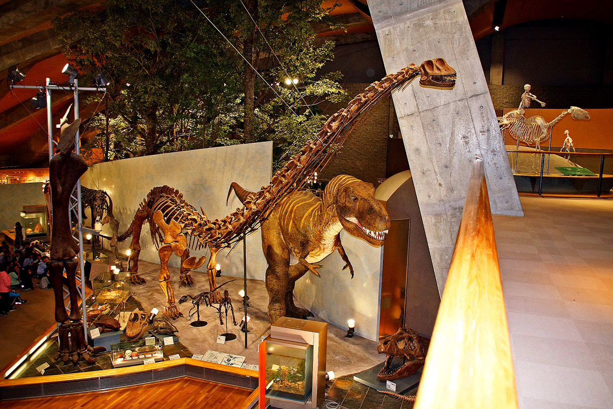 Gunma Museum of Natural History