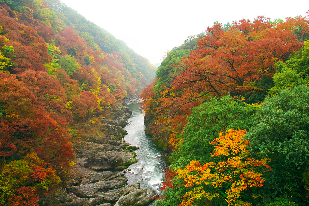 Autumn Leaves at Takatsudokyo Gorge