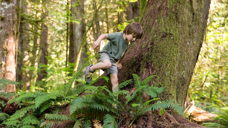 age-4-5-forest-school