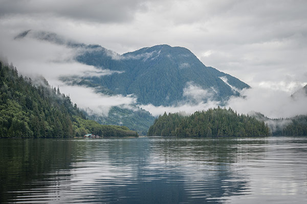 Great-Bear-Rainforest Canada-600x400