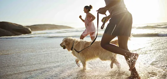 How to reduce interest and pay your home loan off faster