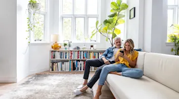What is Lenders Mortgage Insurance (LMI) ?