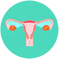 Comienza la menstruación para limpiar el útero