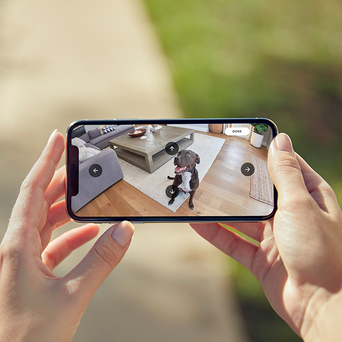 Person uses Ring app on phone to pan camera view and monitor a dog sitting on a rug in a home.