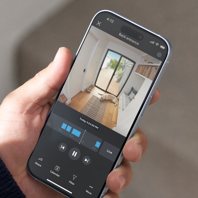 Hand holds phone showing 24/7 Ring camera footage of dog resting at back entrance, with timeline and playback controls.