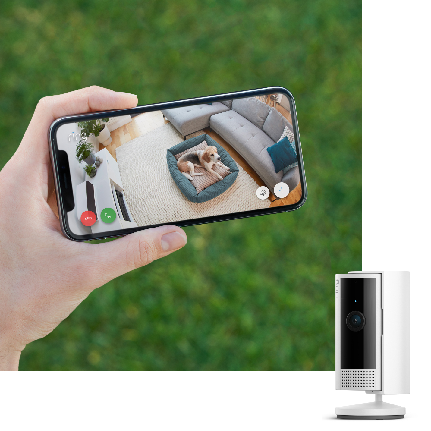 Handy mit Ring Indoor Camera Live-Ansicht zeigt ruhenden Hund im Körbchen neben dem Sofa.