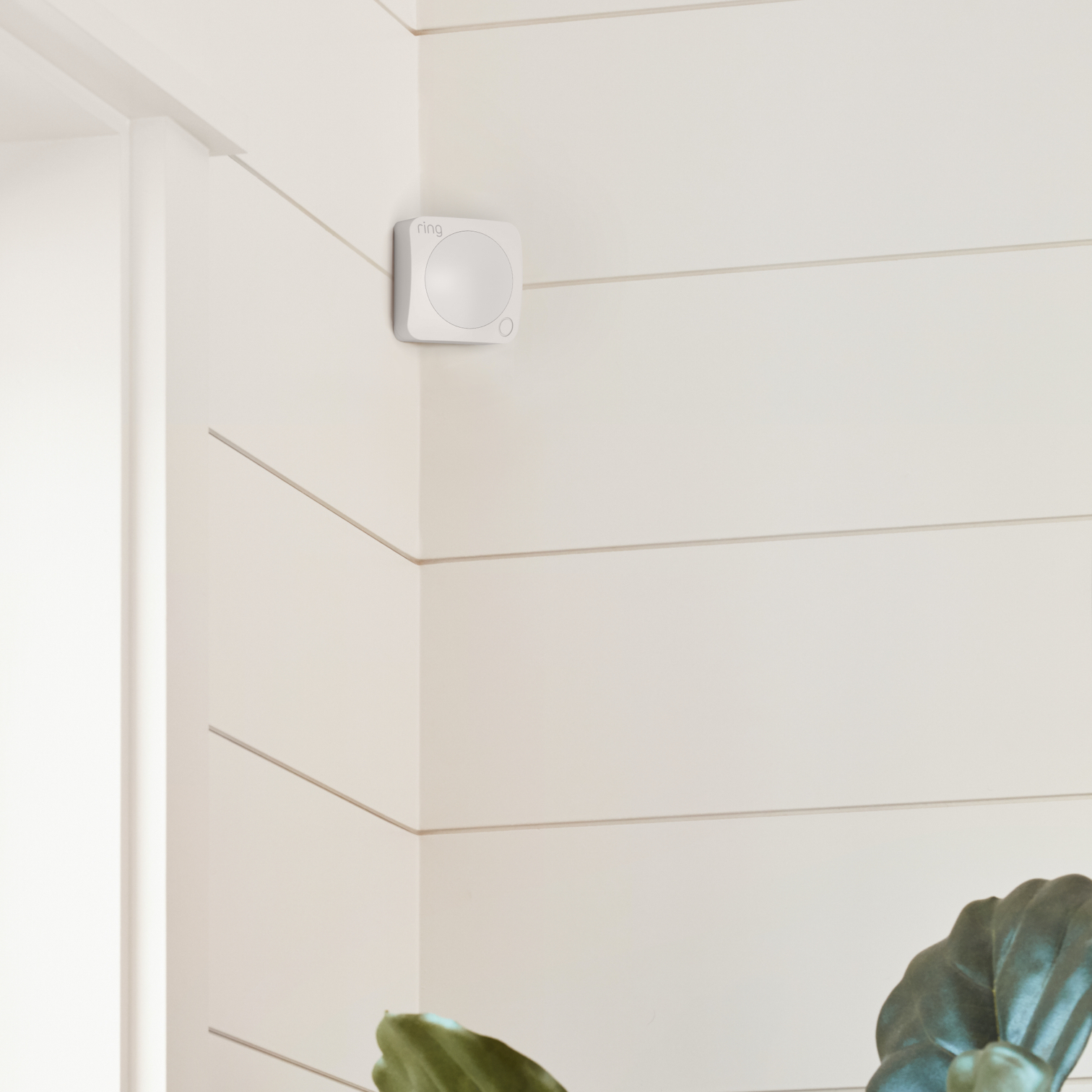 Ring Motion Detector mounted high in room corner, designed to detect indoor movement.
