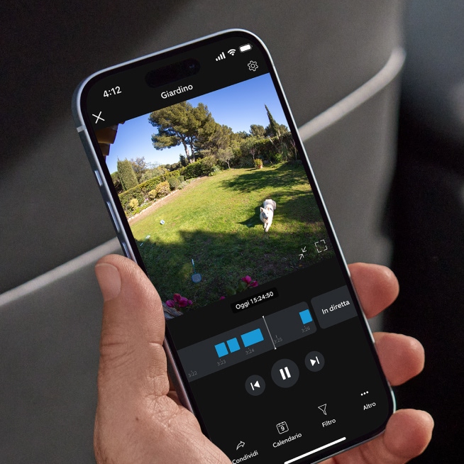 Smartphone che mostra la riproduzione dell'app Ring di un cane che corre in giardino con timeline di registrazione 24/7.