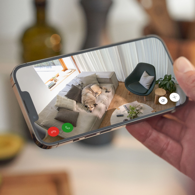Hand holding phone showing live video of dog on sofa in living room, viewed remotely via Ring indoor security camera.