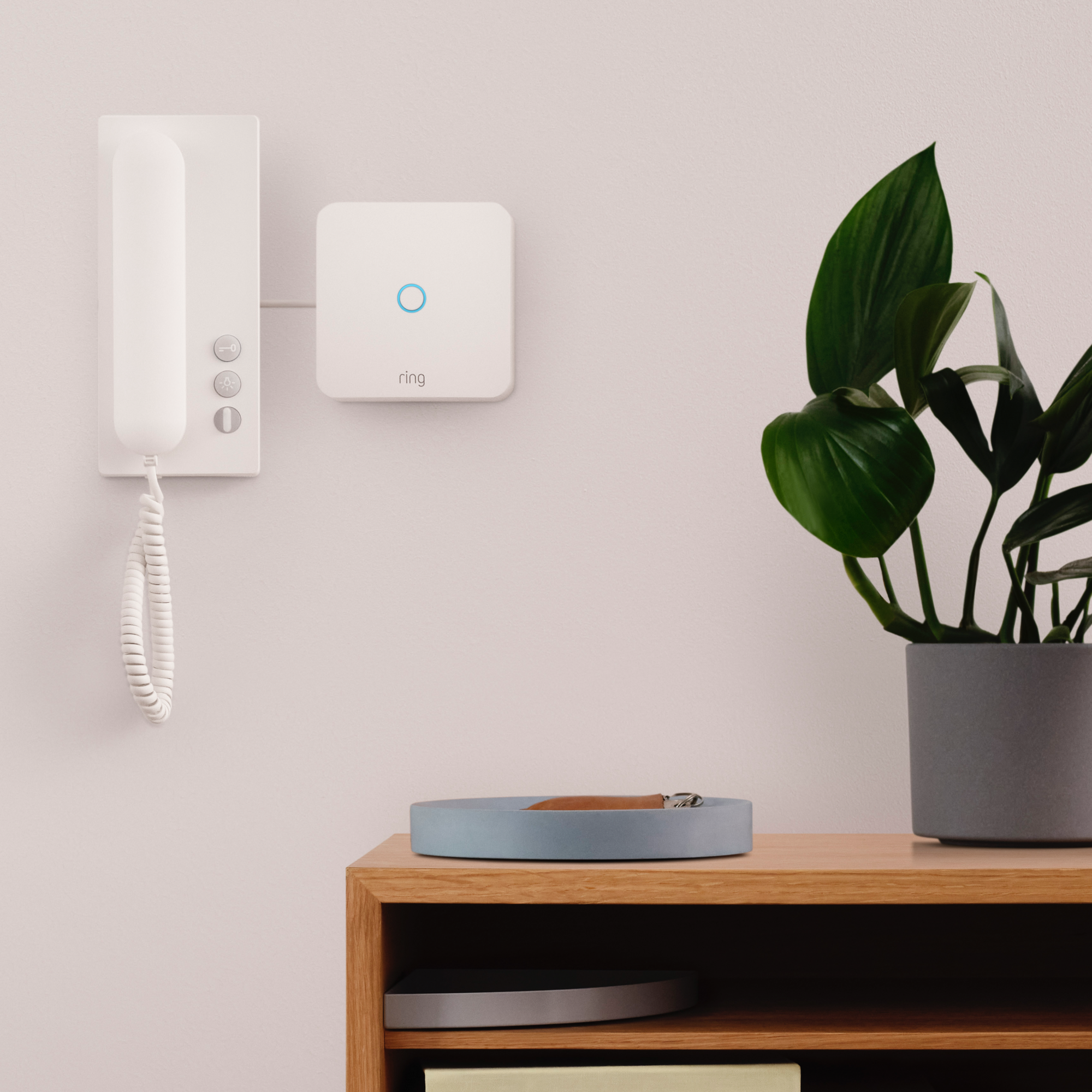 Ring Intercom device mounted on a wall beside a corded handset, with a plant and wooden shelf below.