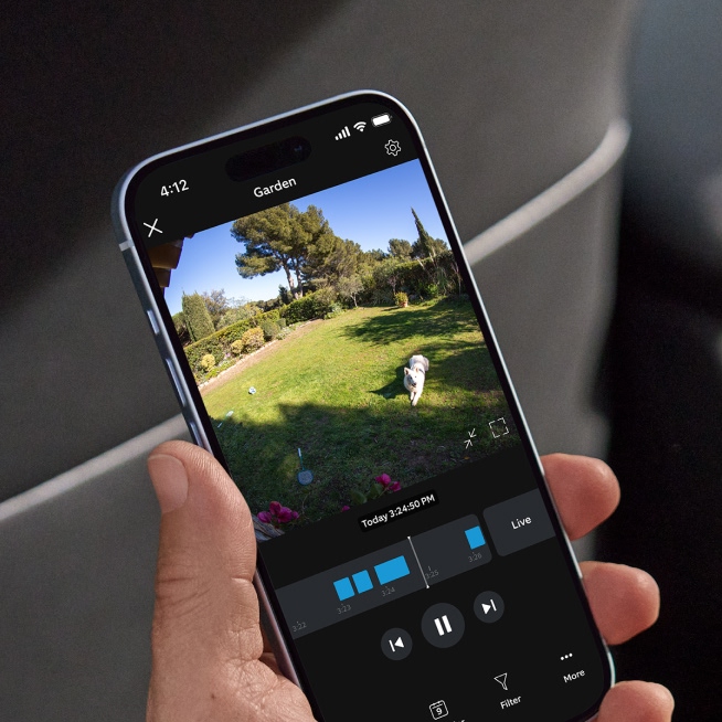 Hand holding smartphone showing Ring app playback of a dog running in a sunny garden with 24/7 recording timeline.