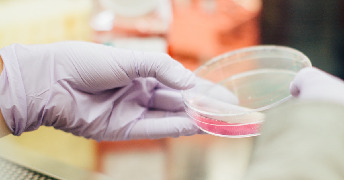 Cientista no laboratório manipulando materiais