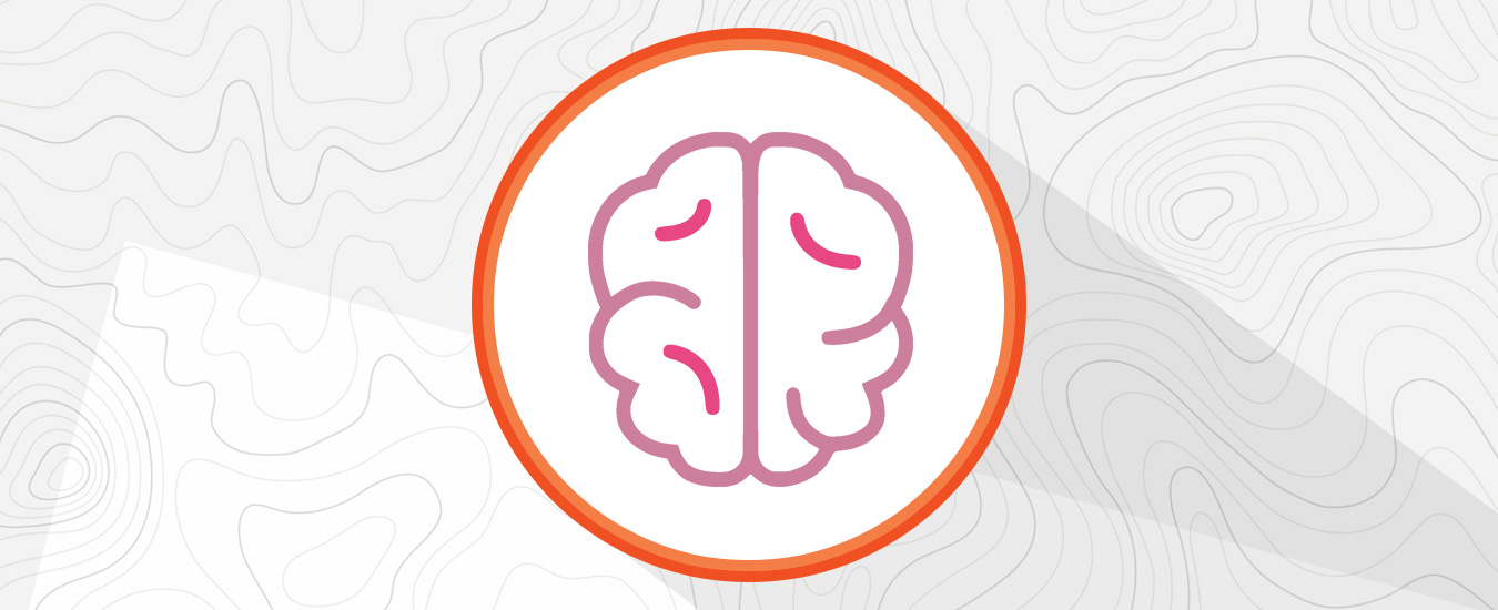 Brain_HP