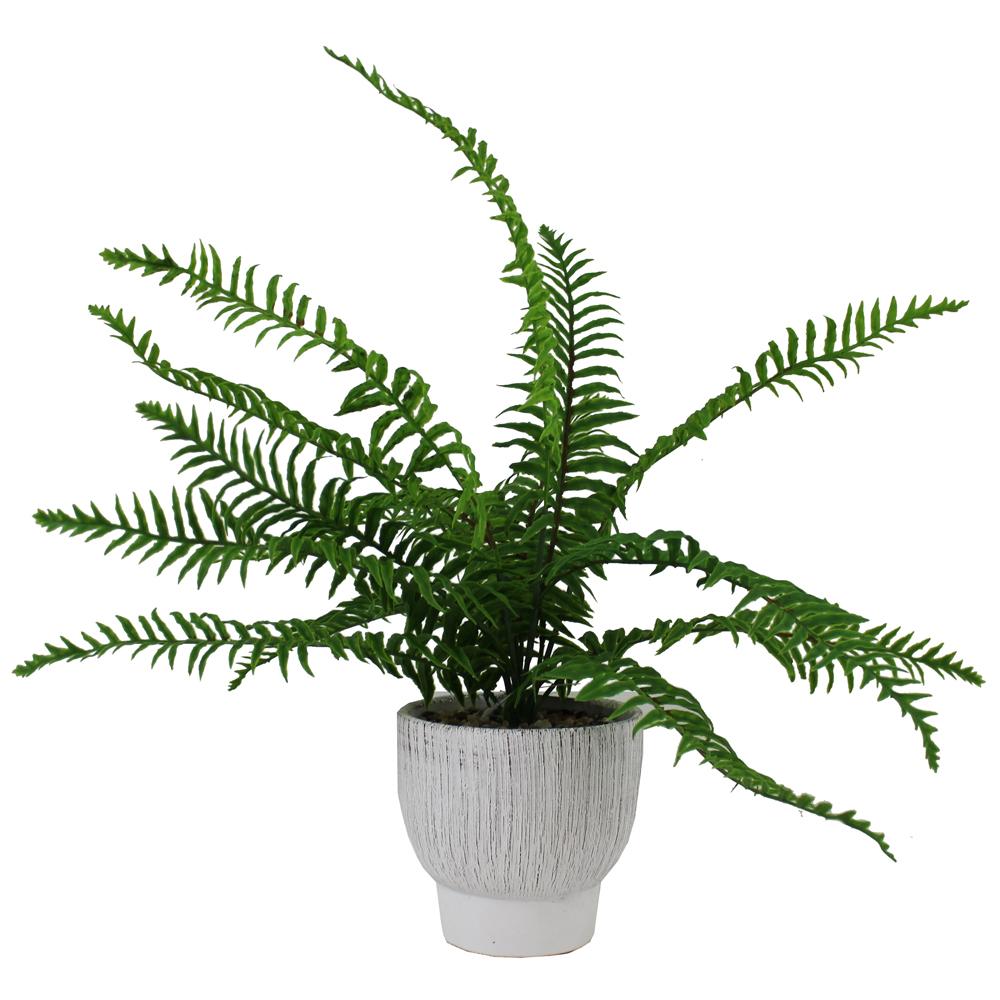 FREE Splash Artificial Fern with Pot