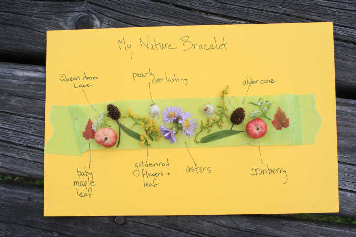 Nature School Project: Nature Bracelets