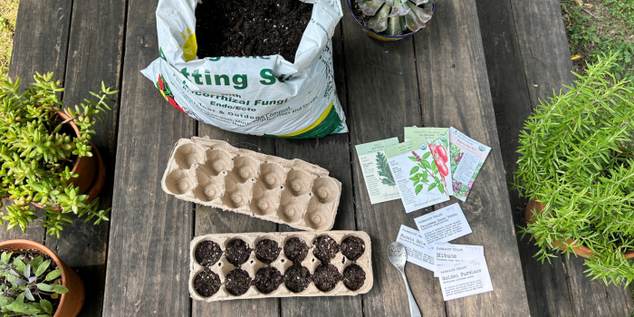 Nature School Project: Egg Carton Seed Starters