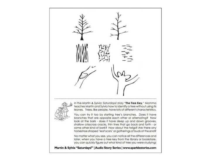 Martin & Sylvia's: Saturdays! Printable Project Page: The Tree Key