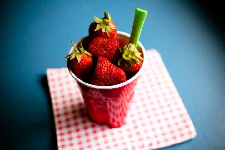 strawberry team snacks meryl 2