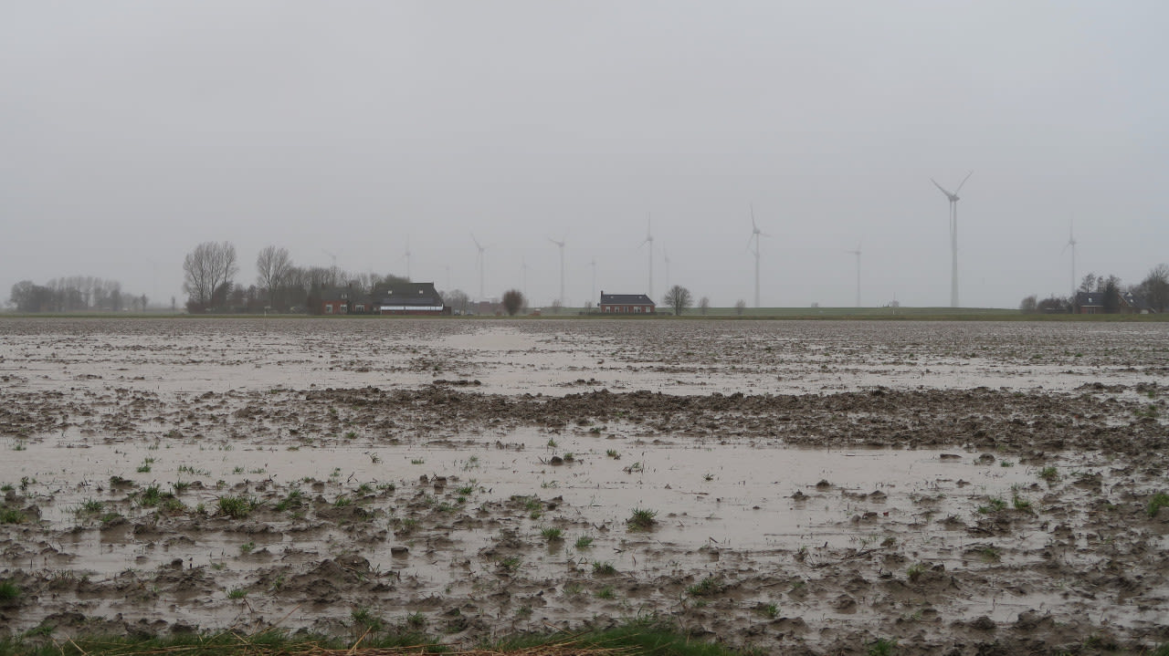 Regen-in-de-winter