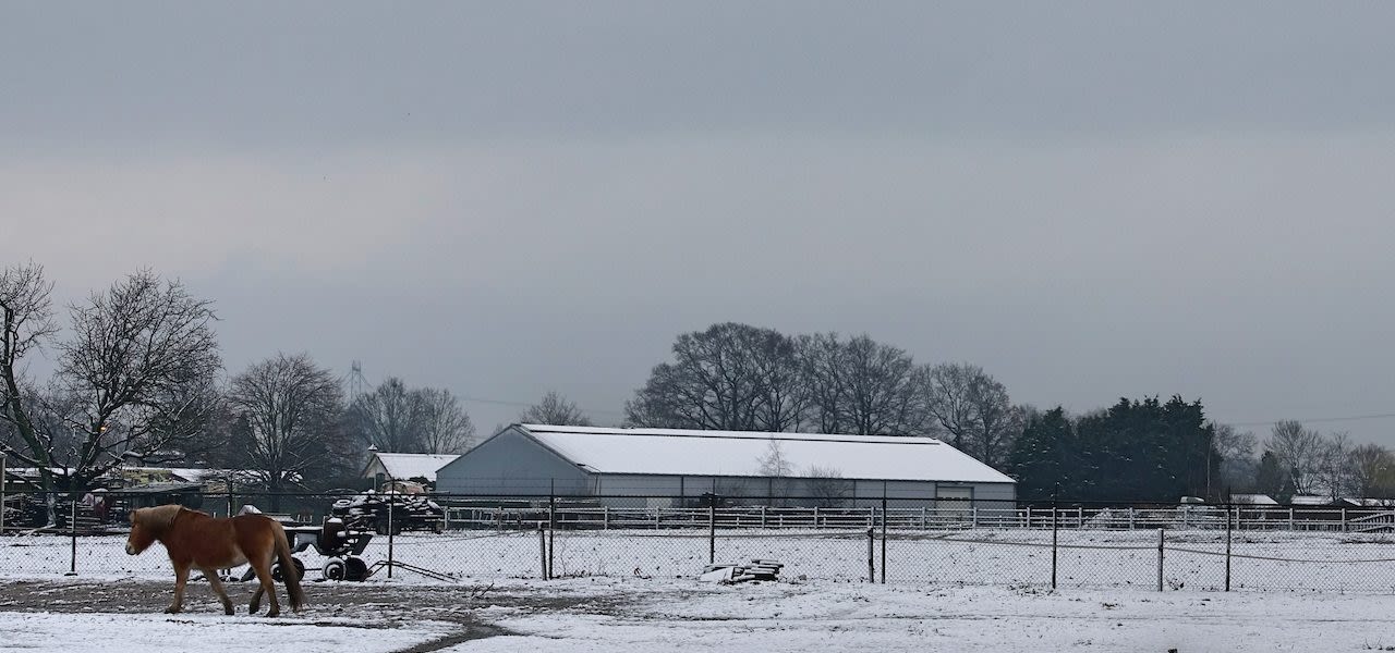 9805a564-eerste-witte-landschap-1280x600