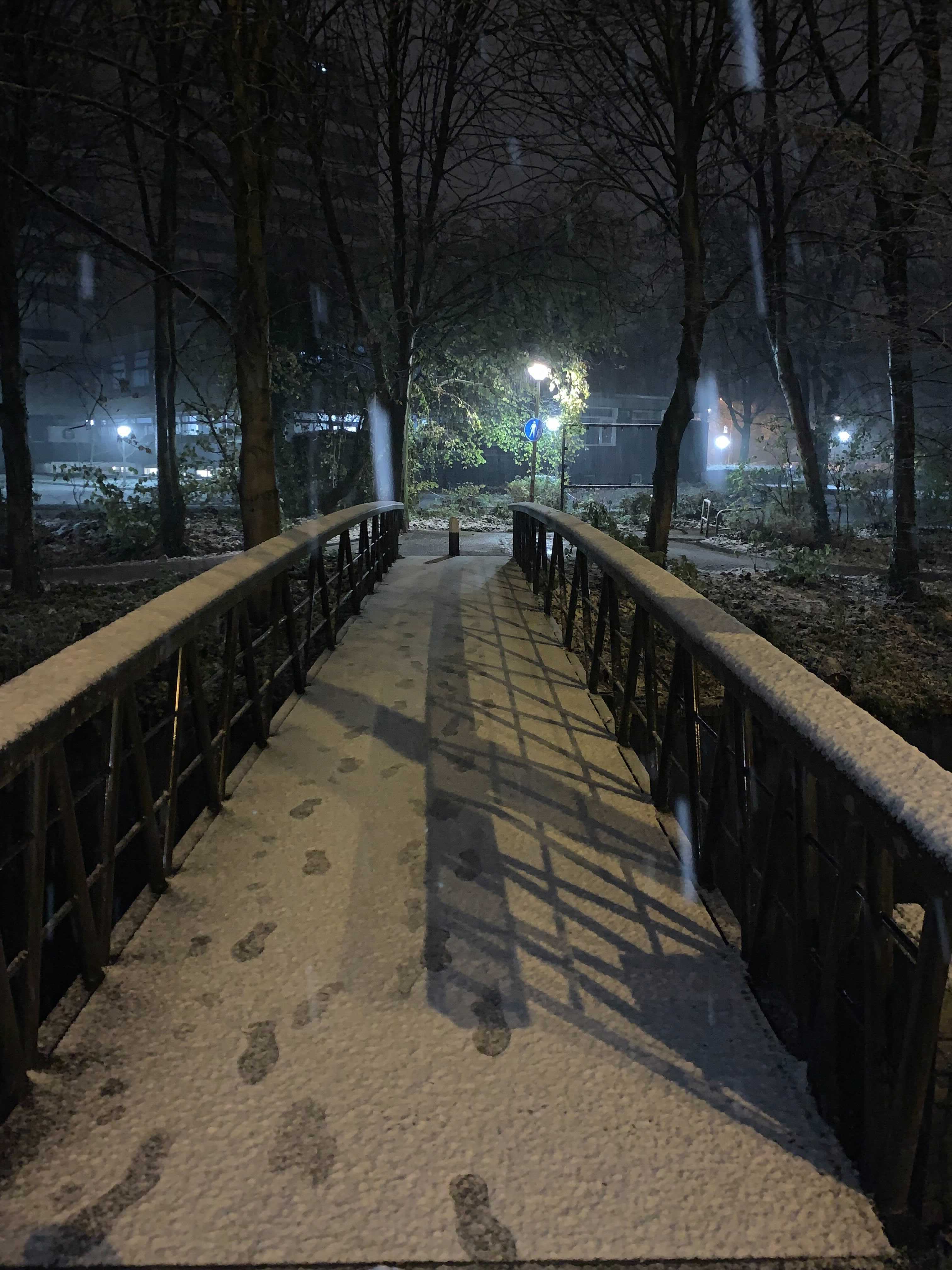 Sneeuw op bruggetje in Wageningen centrum