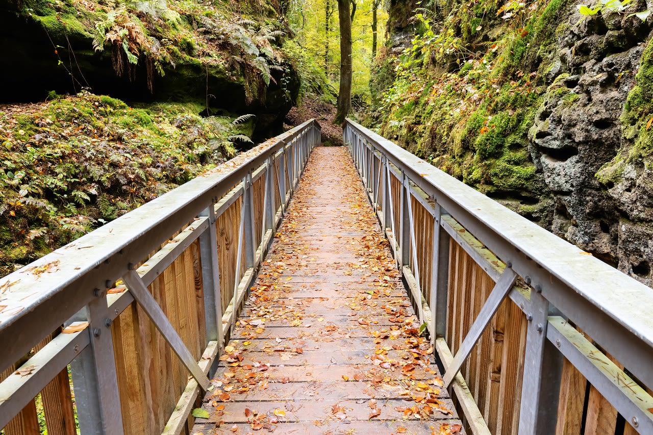 Een wandelpad door Luxemburg tijdens een trail. Foto: AS / Christian Müller