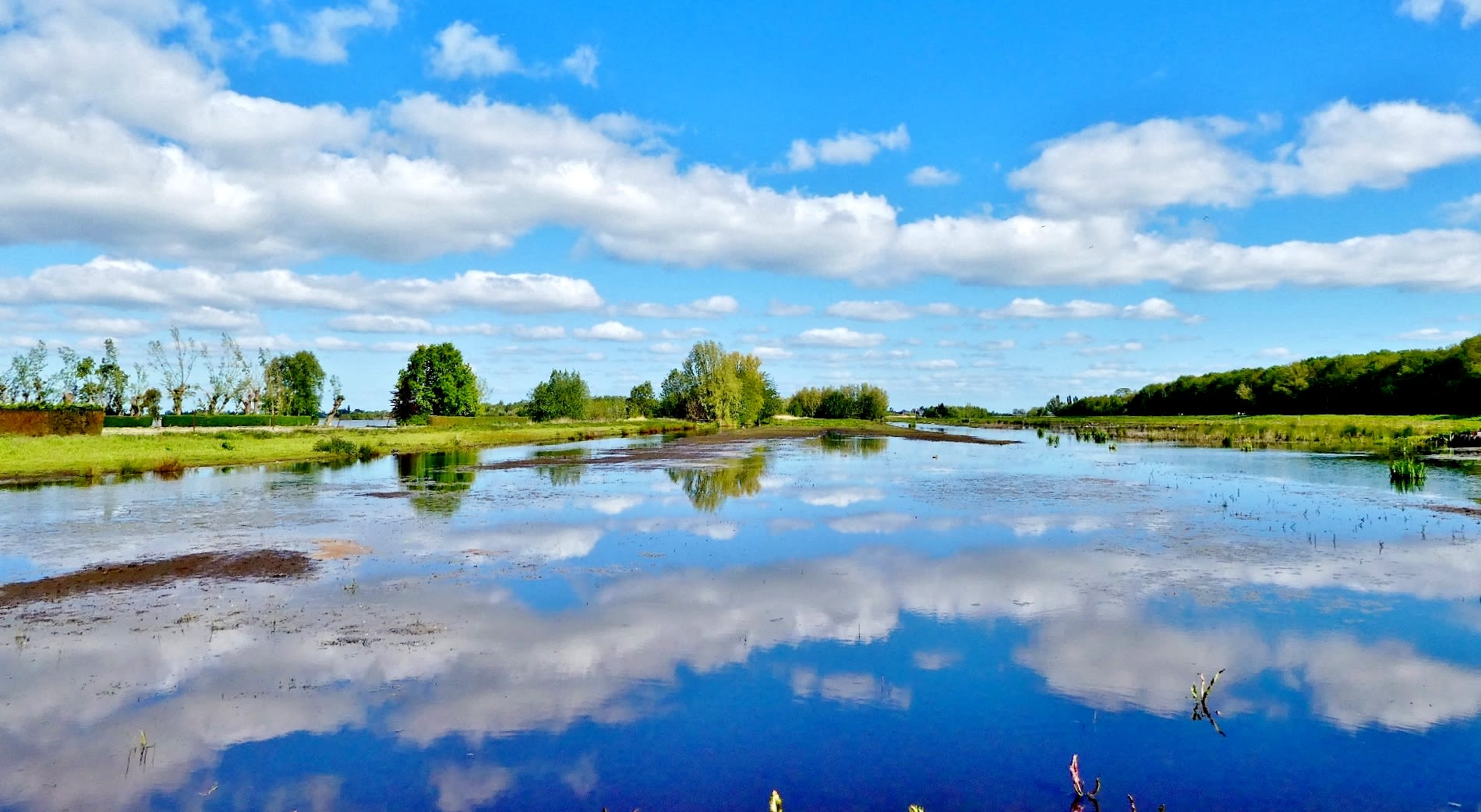 In 2020 verliep Bevrijdingsdag uitzonderlijk zonnig met maar liefst 14 zonuren. Foto: Ton Wesselius