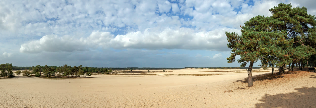 Loonse en Drunense Duinen
