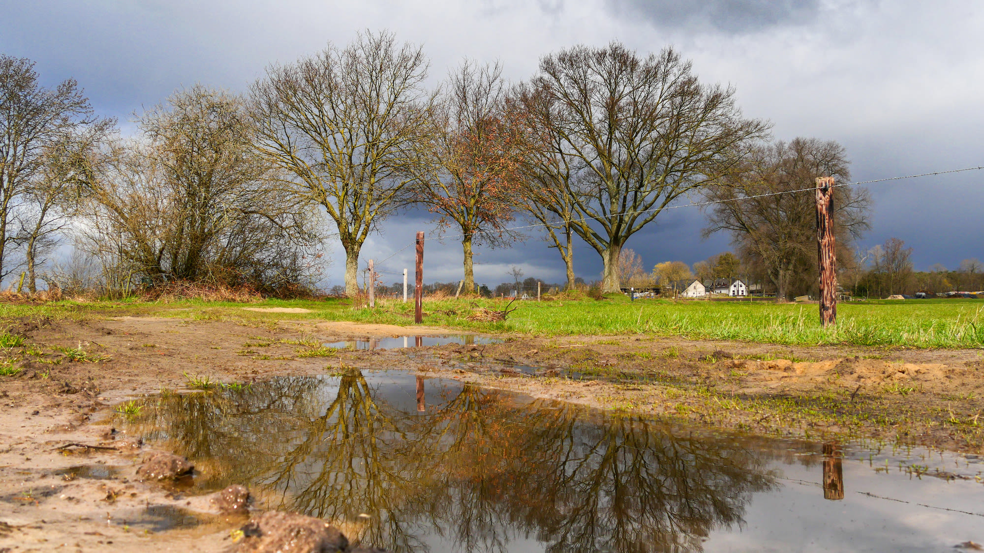 Plassen op de grond na felle regenbuien. Foto: Jos Hebben