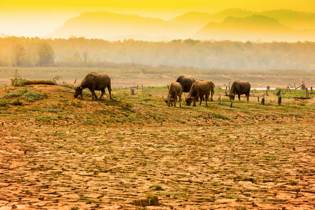 17cc22de-droogte-el-nino-thechatat