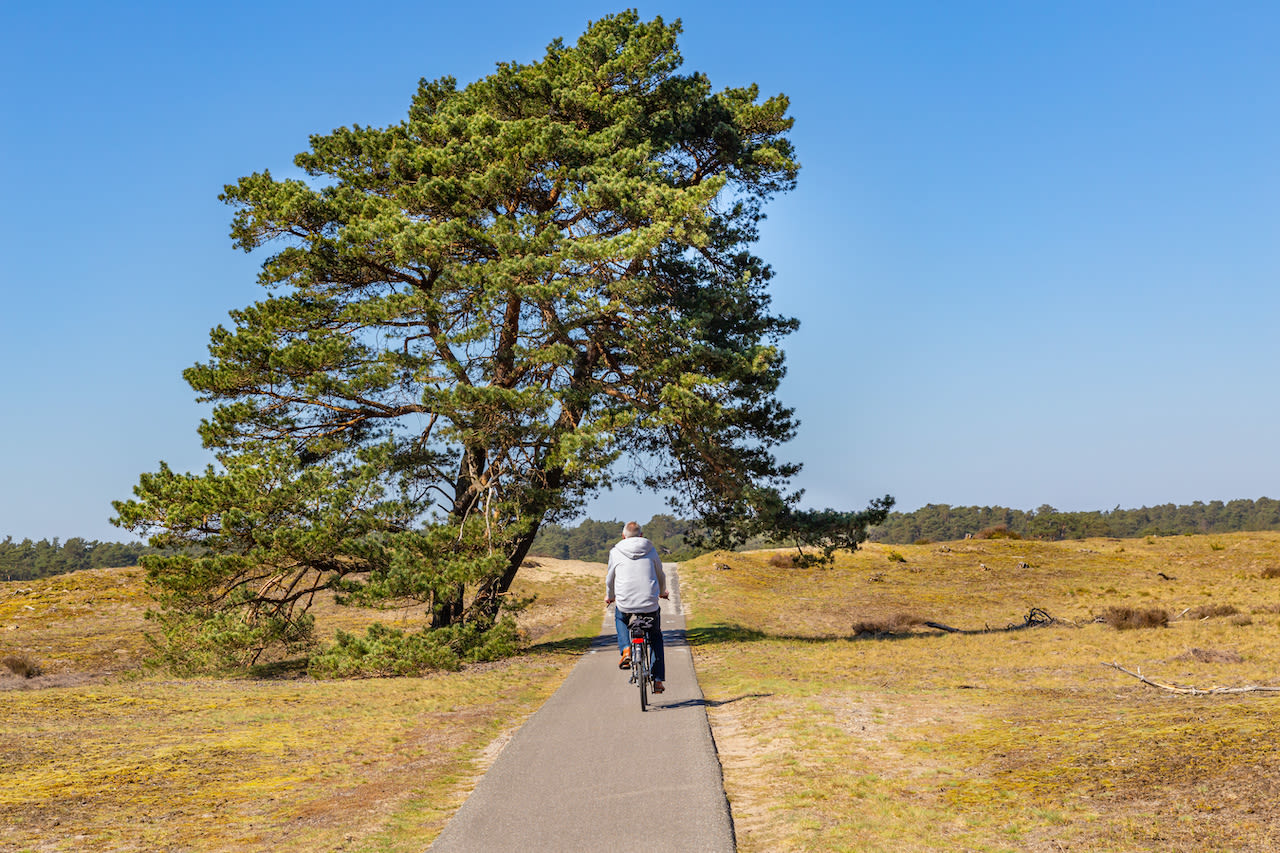 Fietsen op de Hoge Veluwe. Foto: Adobe Stock / HildaWeges
