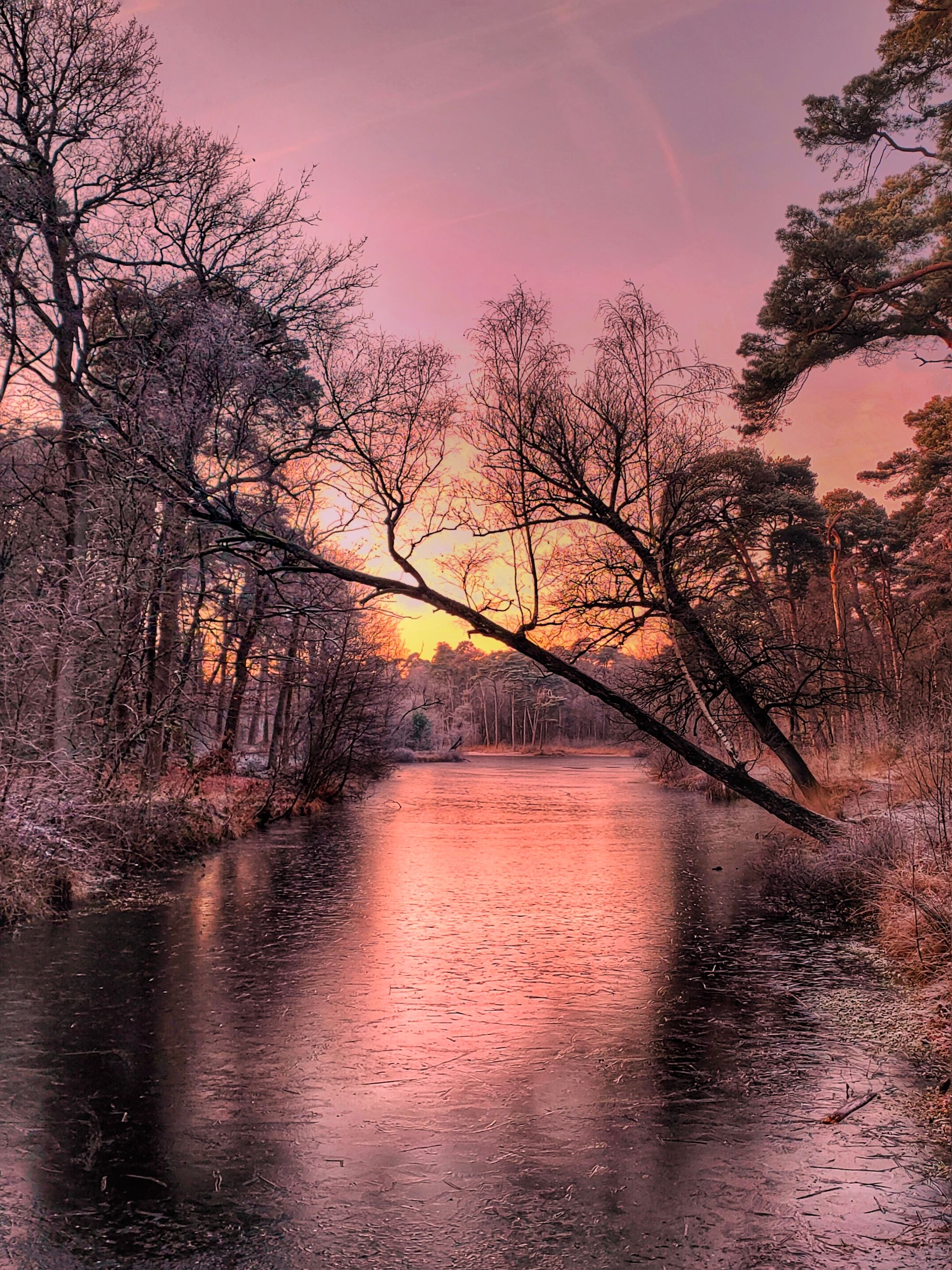 Mooie zonsopkomst met ijs op het ven