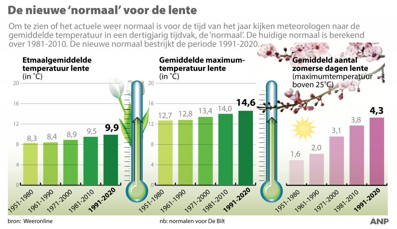 NORMAAL-LENTE