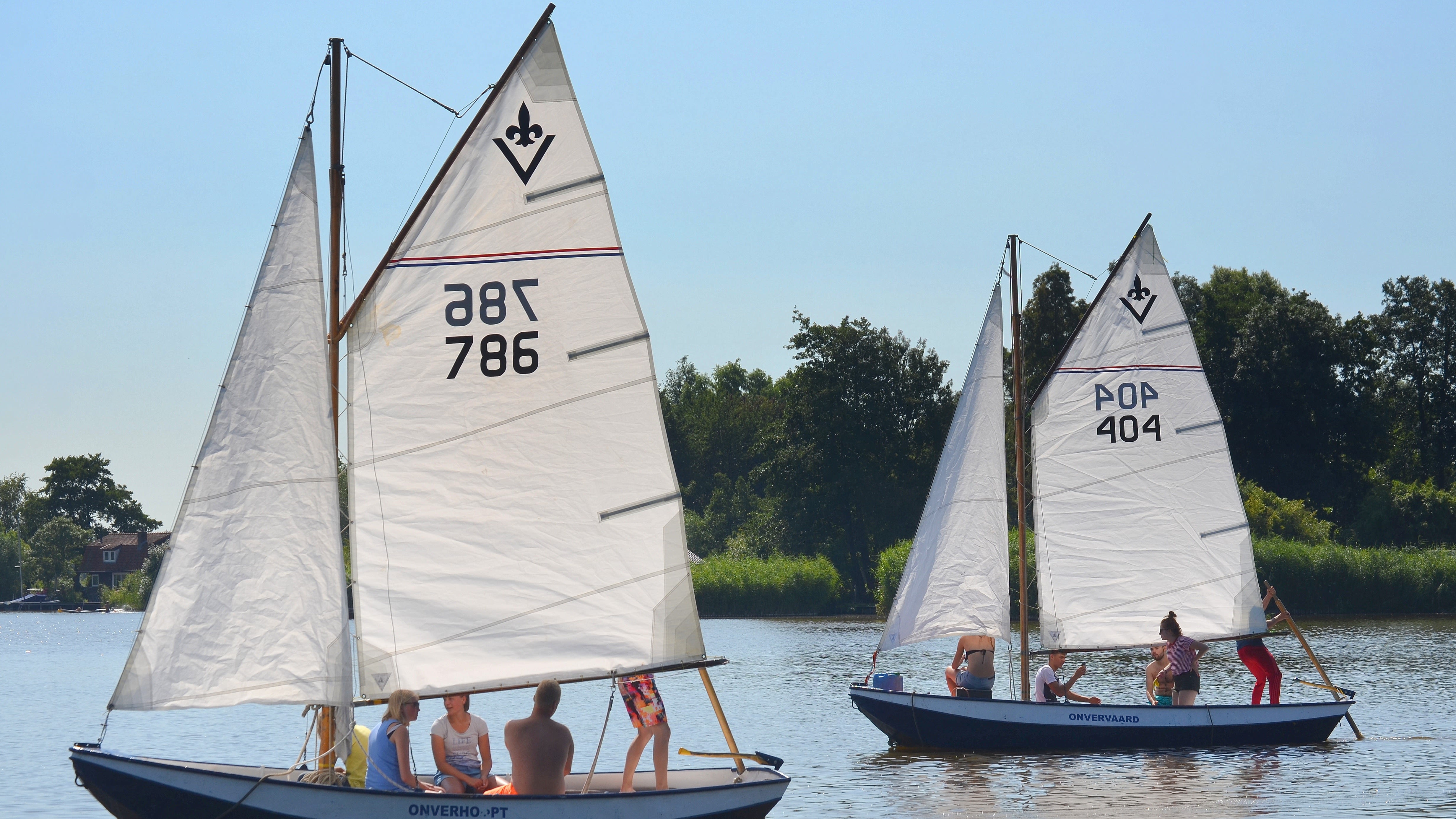 Zeilbootjes op het water op een mooie zomerdag. Foto: Joop van Duivendijk.