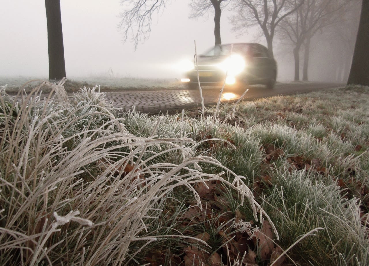mist, gladheid, rijp