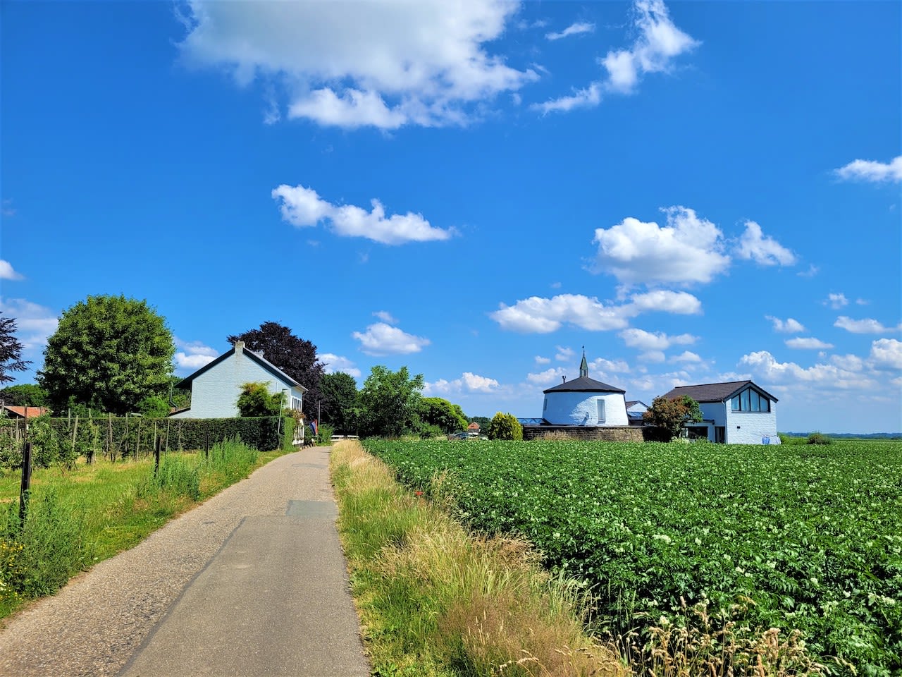 Stapelwolken verschijnen aan de blauwe lucht in Zuid-Limburg. Foto: Marjan den Boer
