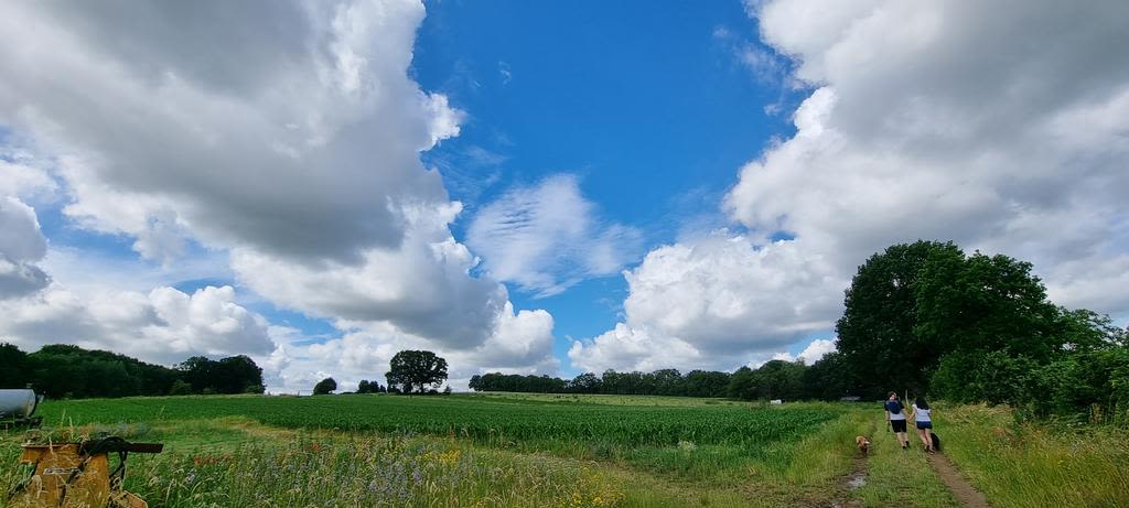 Zon, stapelwolken, zomerweer, België, wandelaars