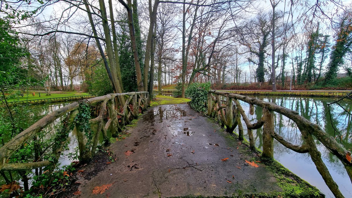 De overvloedige regen veroorzaakte plassen op wegen en weilanden. Foto: Marijke Broothaers