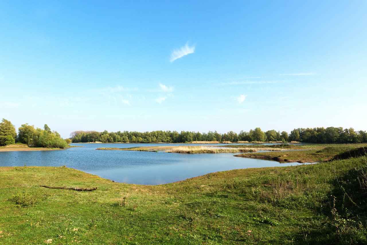 Millingerwaard