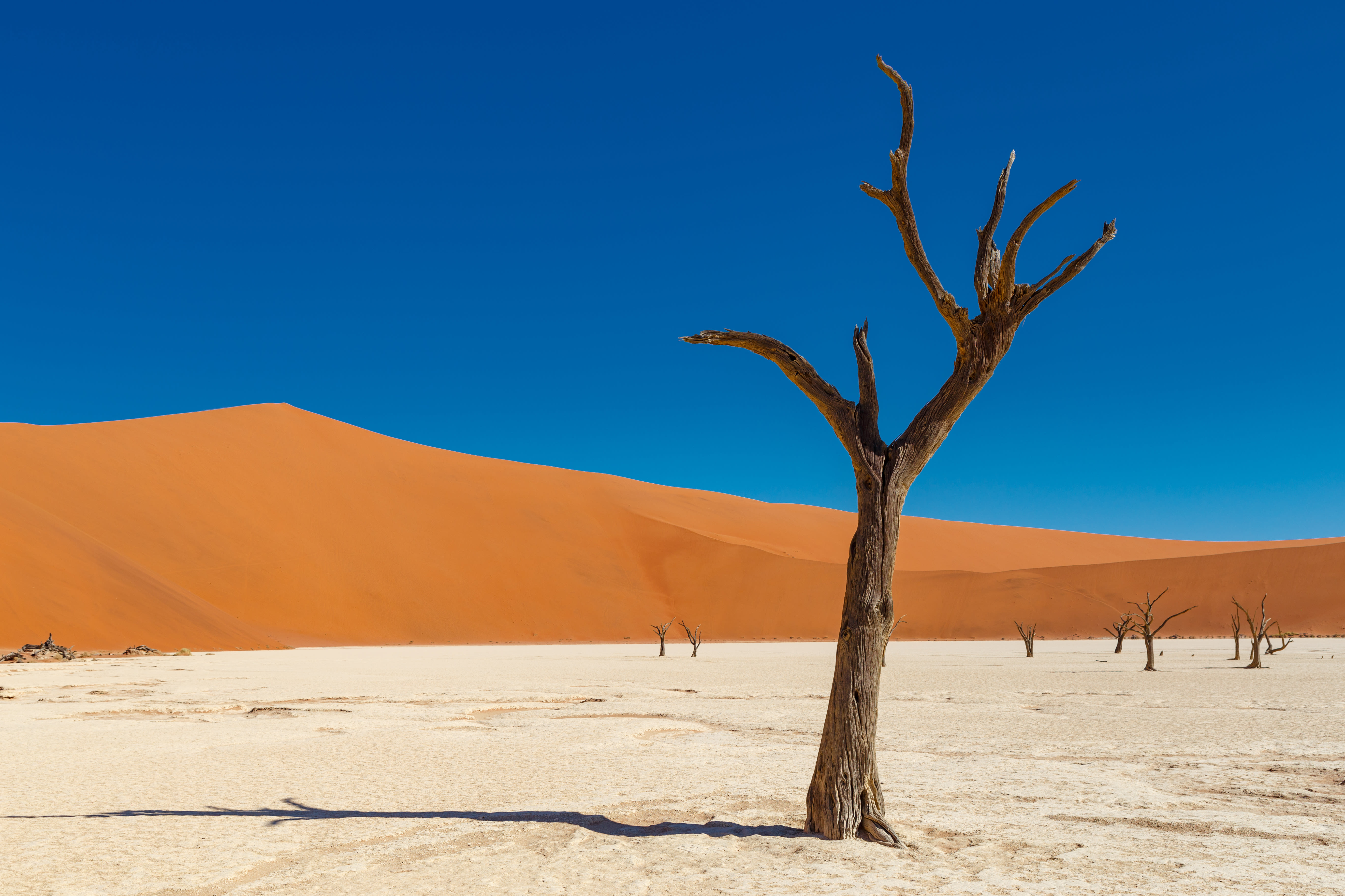natuurlijke wereldwonderen