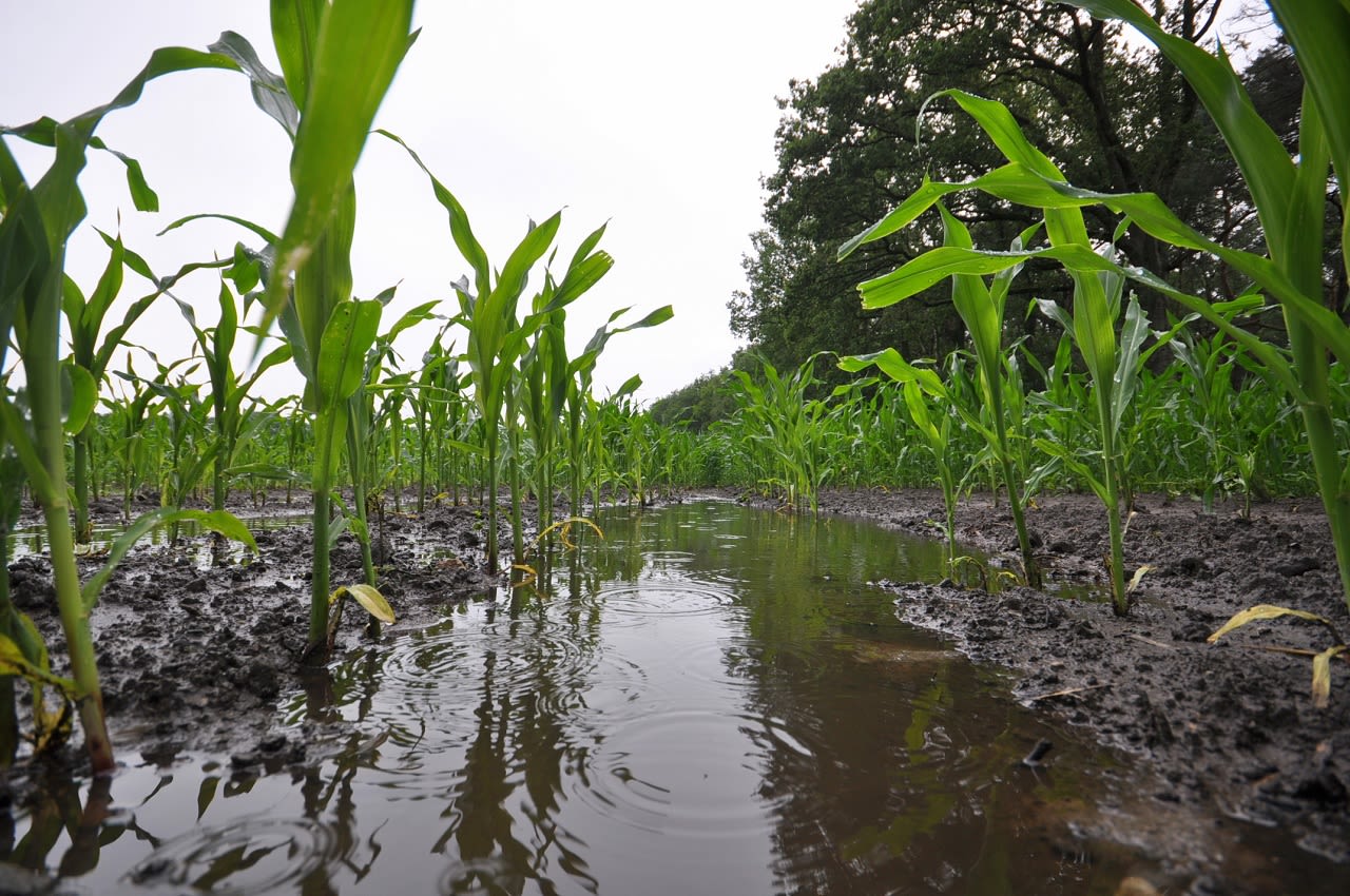 Kans op veel regen, lokaal wateroverlast