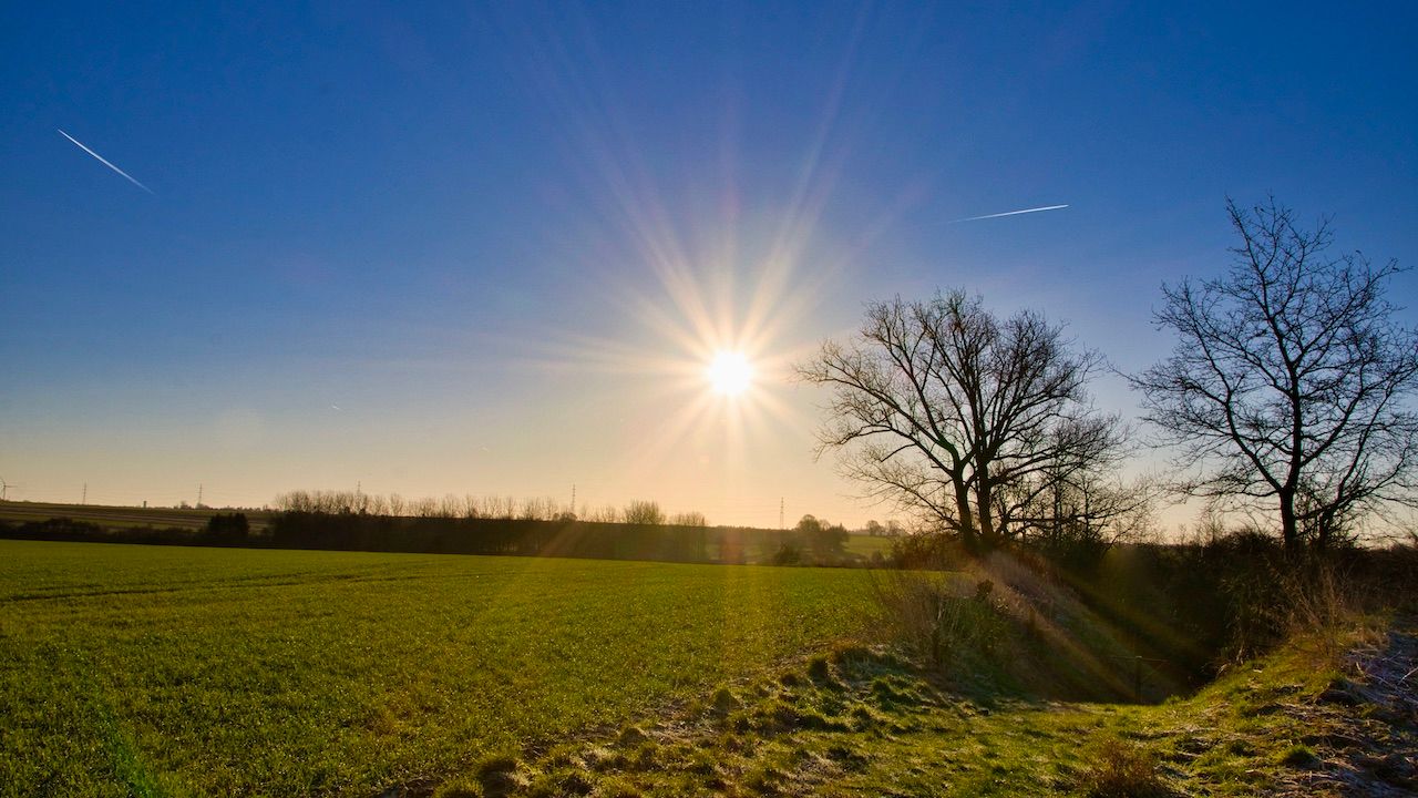 De winter kende een zonnig slot. Foto: Noël Ryckmans