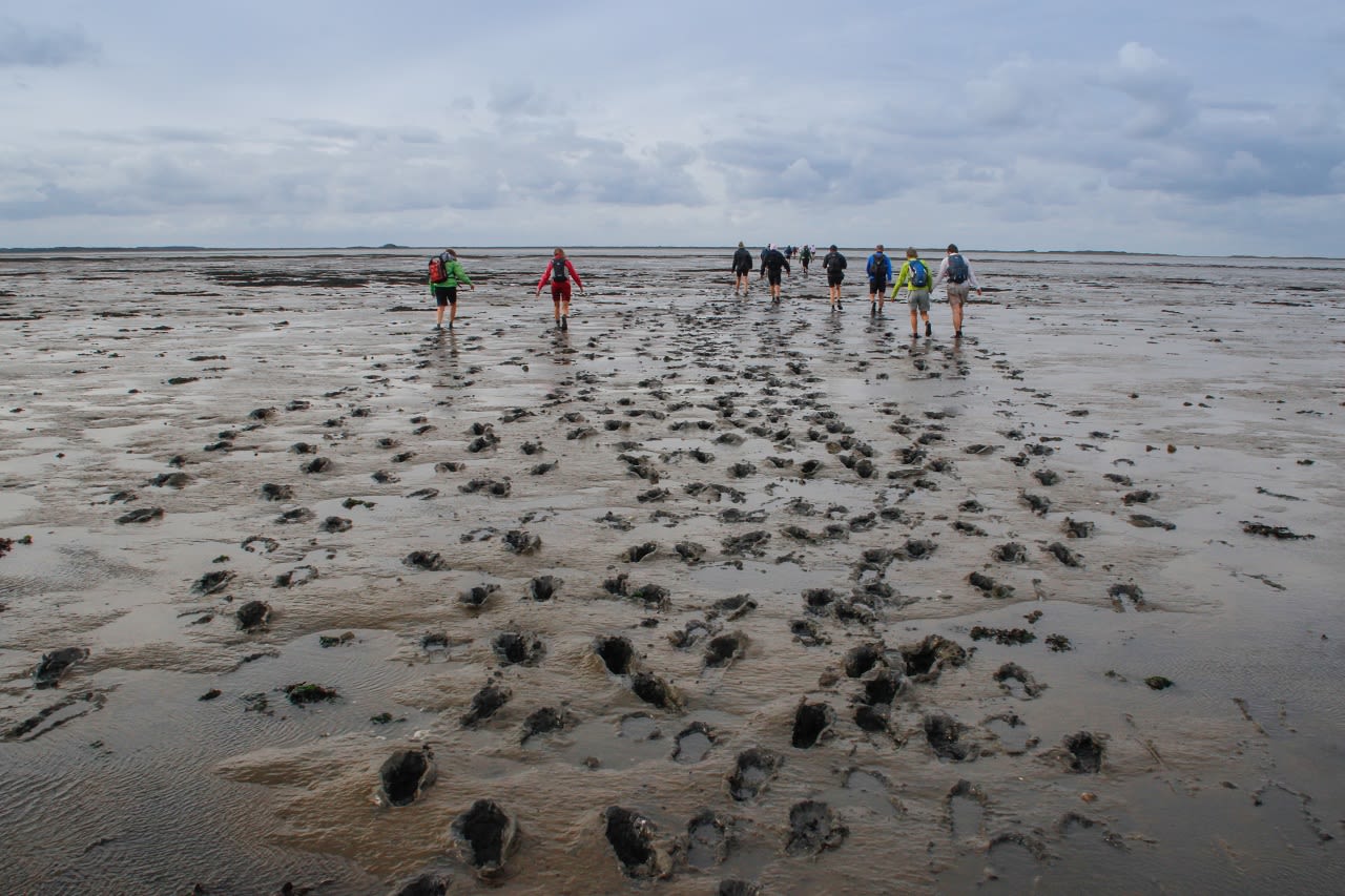 Wadlopen, tip voor de zomervakantie