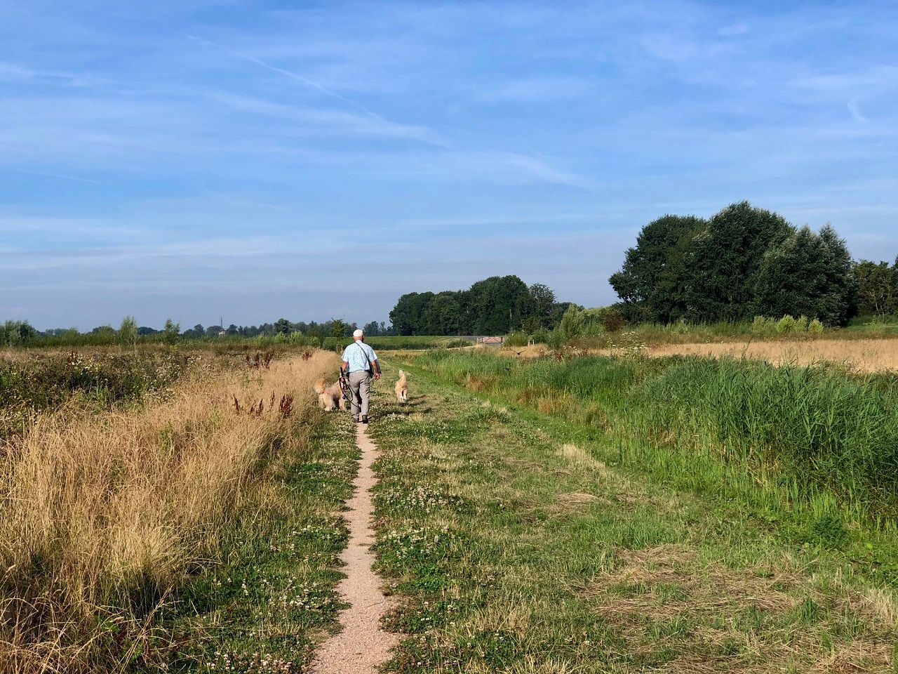 Heerlijk buitenweer. Foto: Jolanda Bakker